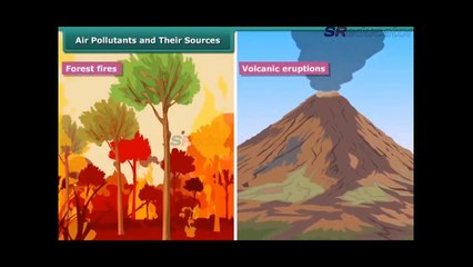 Class 8 Biology Pollution of Air and Water