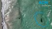 Drone footage captures a juvenile tiger shark swimming metres from the shore on busy tourist beach