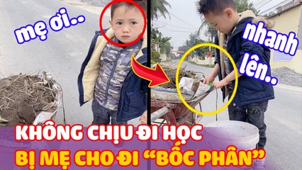 Mầm non tương lai chọn “BỐC PHÂN” thay vì “ĐI HỌC”, người mẹ nhìn bất lực | Thiệt Bất Ngờ