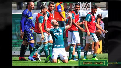 Palmeiras x Paraná Clube sob as lentes de Djalma Vassão