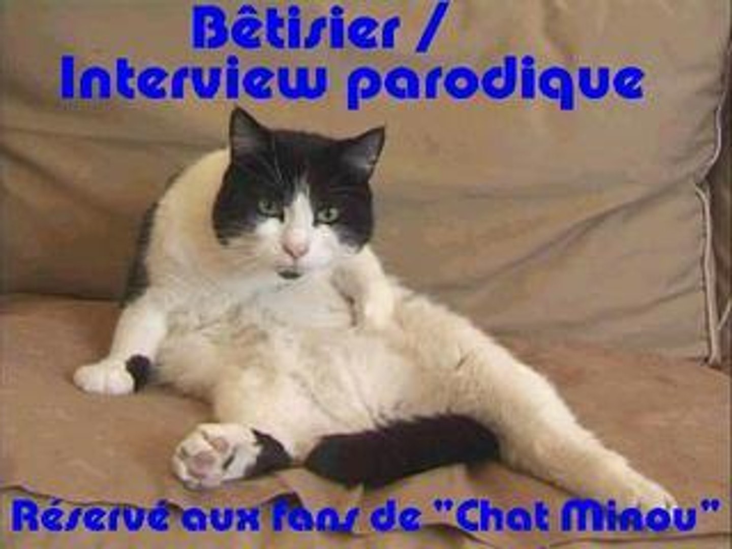 Betisier Interview Parodique De La Serie Chat Minou Video Dailymotion