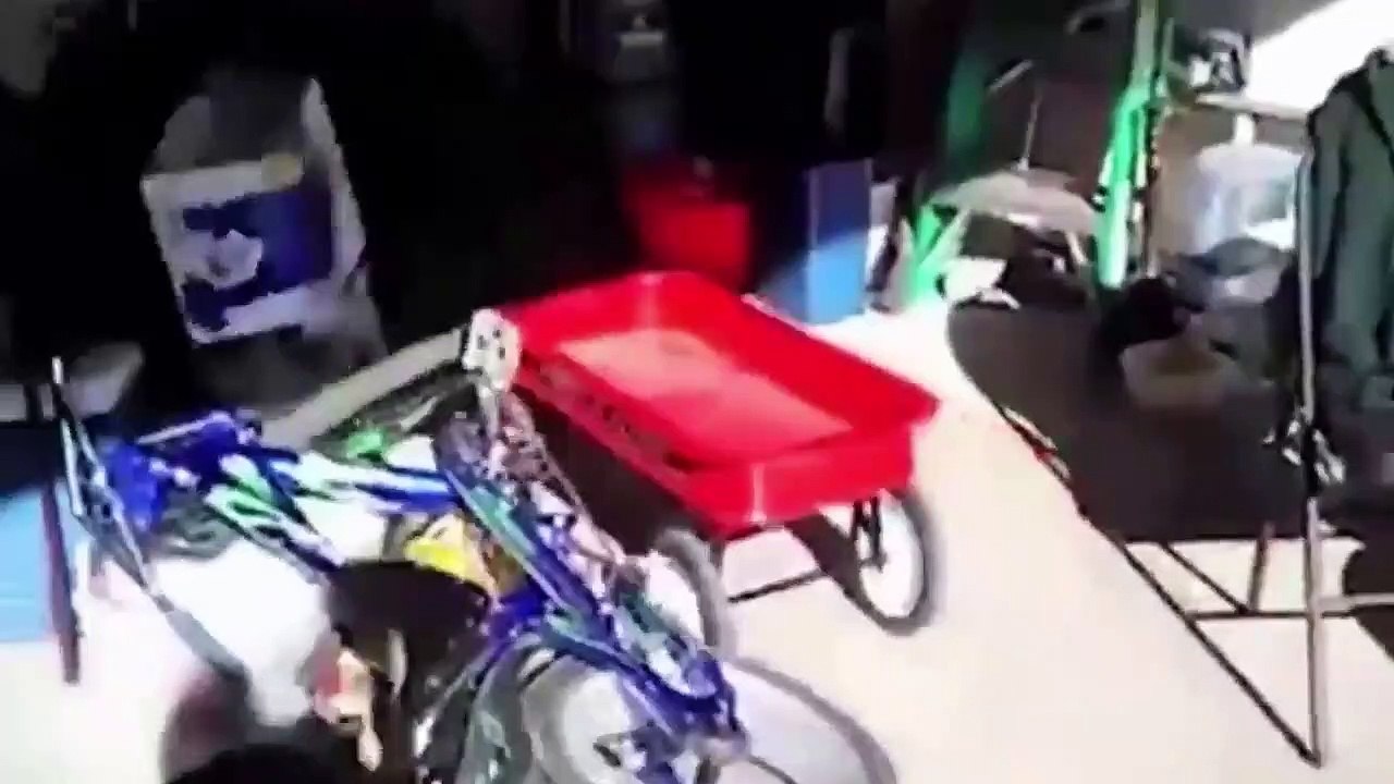 Funniest Animal