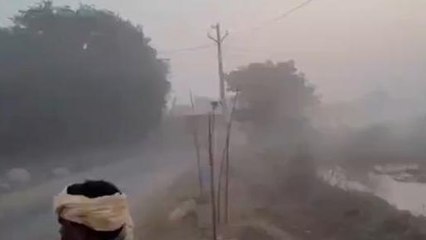 సిద్దిపేట: జిల్లా వ్యాప్తంగా దట్టంగా కమ్మేసిన మంచు దుప్పటి