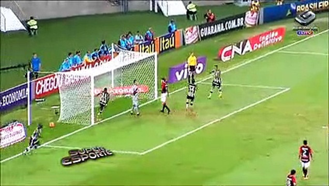 Botafogo vence Vitória e assuma a liderança do Brasileiro