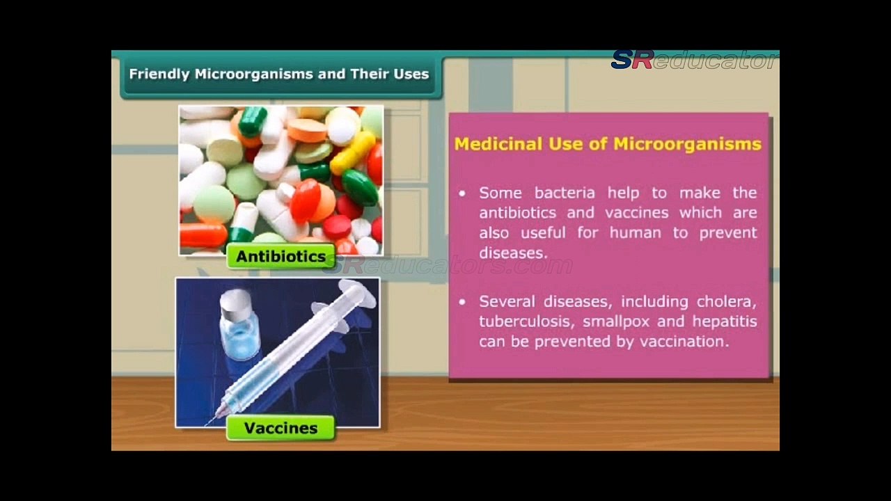 Class 8 Biology Micro Organisms