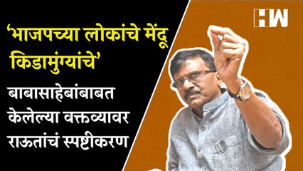 BJPच्या लोकांचे मेंदू किडामुंग्यांचे; बाबासाहेबांबद्दल केलेल्या वक्तव्यावर Sanjay Raut म्हणाले...