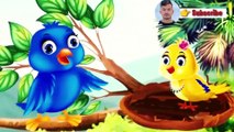 सौतेली चिड़िया माँ | Cartoon Chidiya | Chidiya Kahani | Hindi moral stories | T91