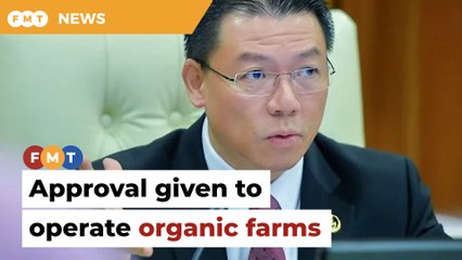 Batang Kali campsites unlicensed, says Nga