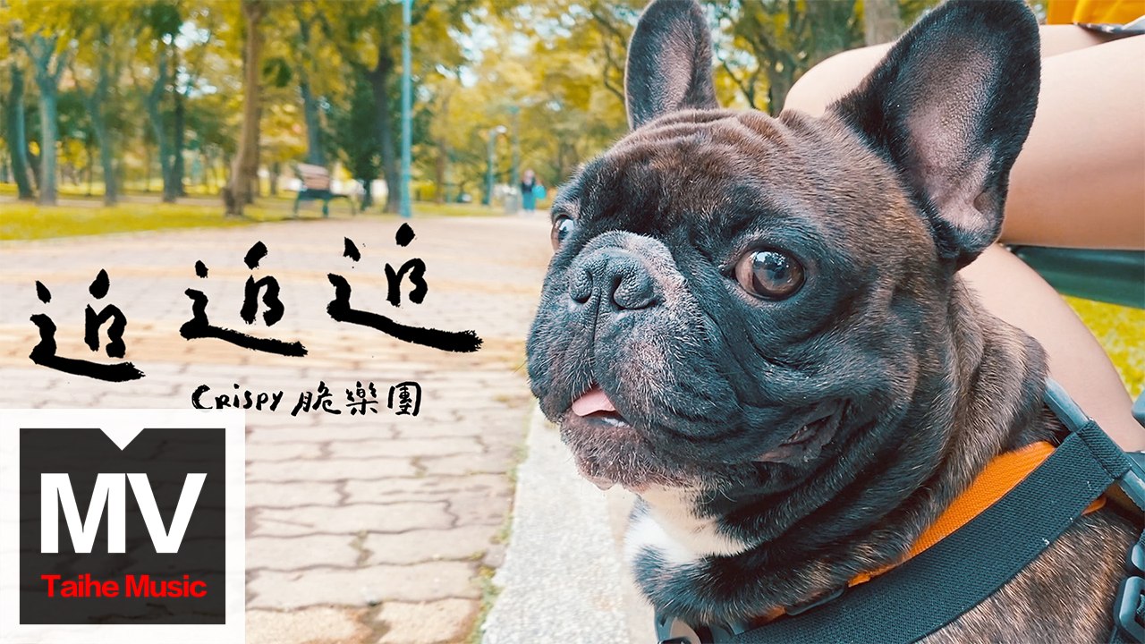 Crispy脆樂團【追追追】HD 高清官方完整版 MV