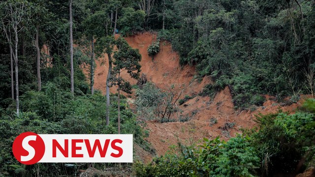 Batang Kali landslide: Search focusing on two of three zones