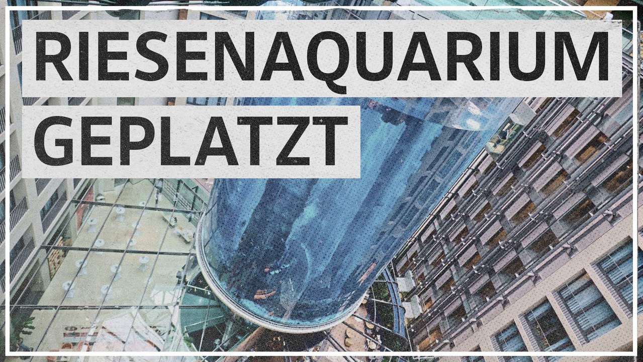 Berlin: Riesiges Aquarium in Hotel geplatzt