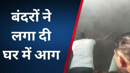 गाजियाबाद: बंदरों ने लगाई घर में आग, लोगों ने आग पर पाया काबू