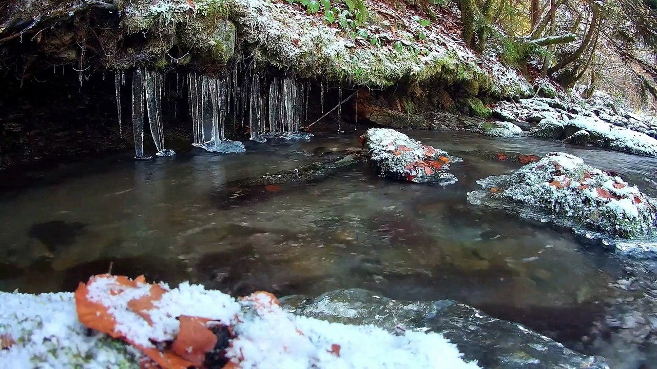 SEA RELAXATION Soothing Sounds of the Sea W/O Music Calming Ocean Waves Sound of Wind Water Sounds 11