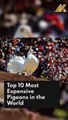 Top 10 Most Expensive Pigeons in the World #Shorts