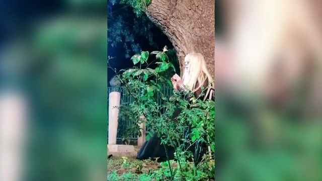 Zerrin Özer mezarlıkta şarkı söyledi