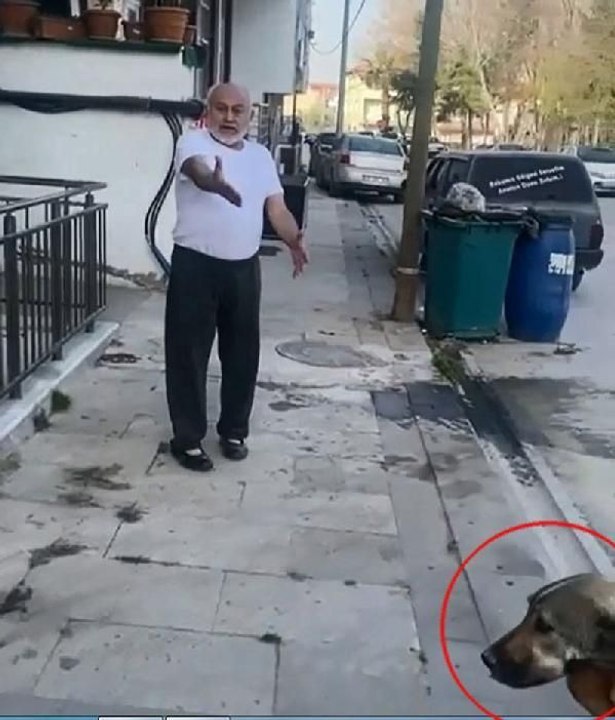 'PAŞA' İSİMLİ KÖPEĞİ ÖLDÜRÜP, SAHİBİNİ DE TEHDİT EDEN SANIĞA 5 YIL 9 AY HAPİS