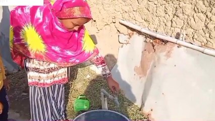 হুগলি: সজল ধারার কল আছে, জল নেই, ক্ষোভ বাসিন্দাদের