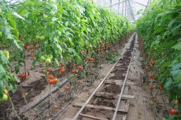 Kumluca'da selin ardından temizlik çalışmaları devam ediyor