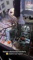 Allemagne: Un aquarium géant, haut d'une quinzaine de mètres et situé dans la cour d'un hôtel prestigieux de Berlin, éclate et fait deux blessés - VIDEO