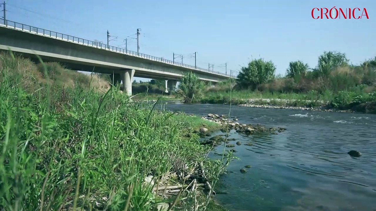 AMB