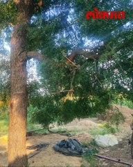 पोटच्या लेकीबरोबर बापानं असं का केलं