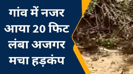 बूंदी: गांव में नजर आया 20 फिट लंबा अजगर, मचा हड़कंप और फिर...