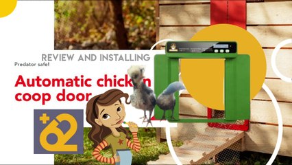 Automatic Chicken Doors Worth it?