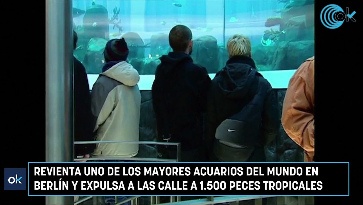 Revienta uno de los mayores acuarios del mundo en Berlín y expulsa a las calle a 1.500 peces tropicales