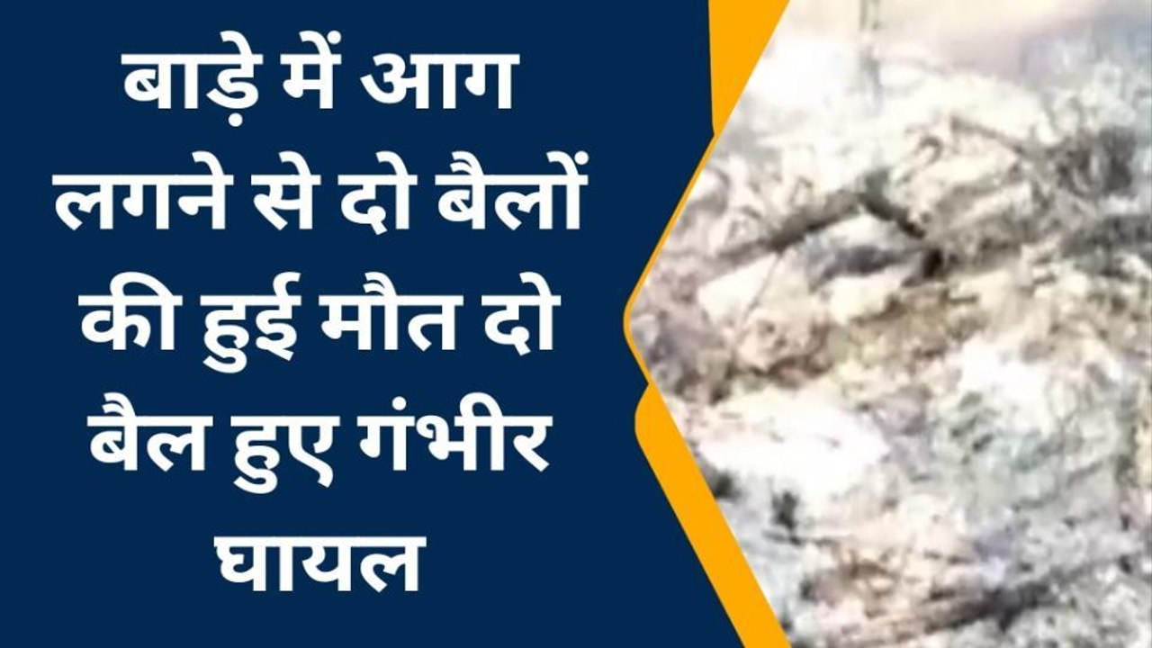 बैतूल: सोनगढ़ में अज्ञात कारणों से मवेशियों के बाड़े में लगी आग, हुआ लाखों का नुकसान