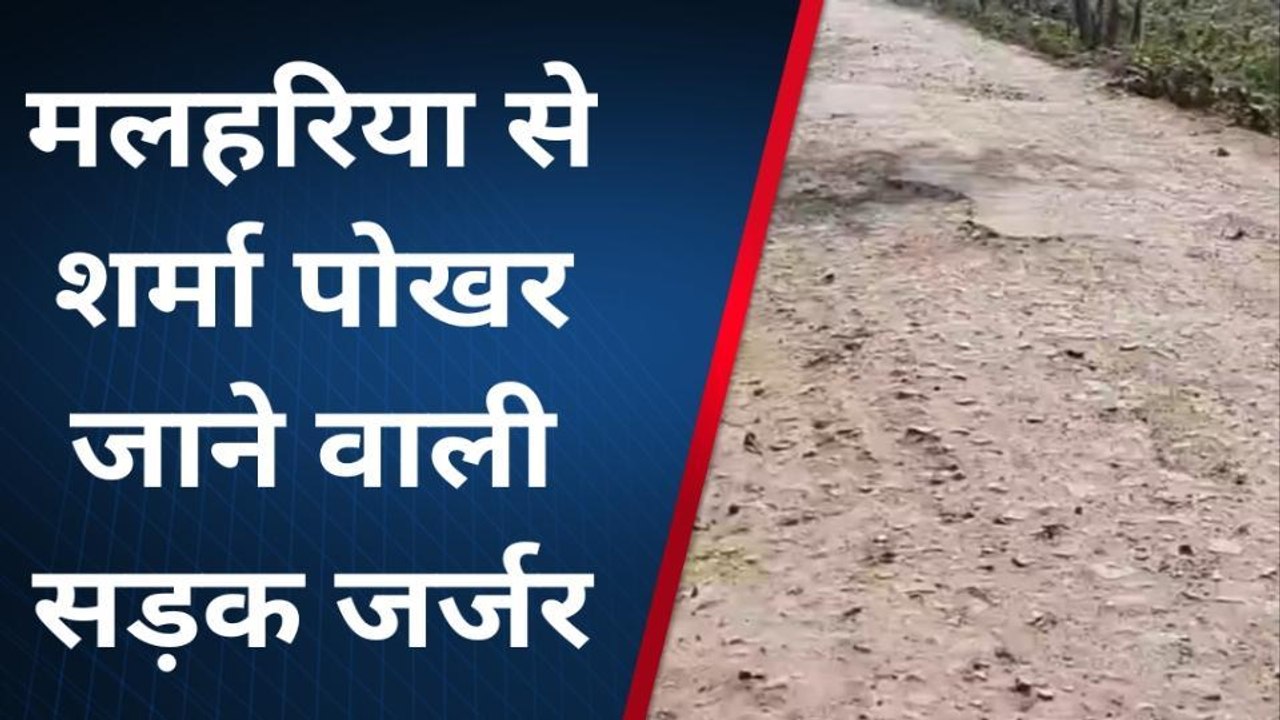 पूर्णिया: मलहरिया से शर्मा पोखर जाने वाली सड़क जर्जर, राहगीरों को परेशानी