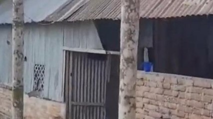 শীতের রাতে নব দম্পতি-কে সহবাসে বাঁধা! রইলো ভিডিও