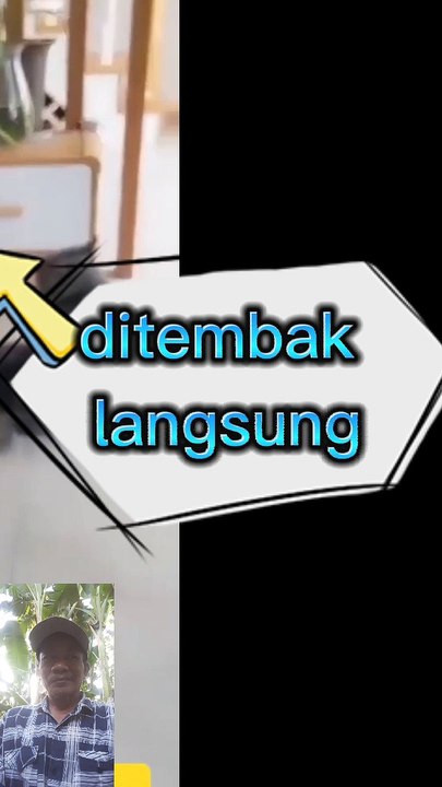 Berpura pura mati