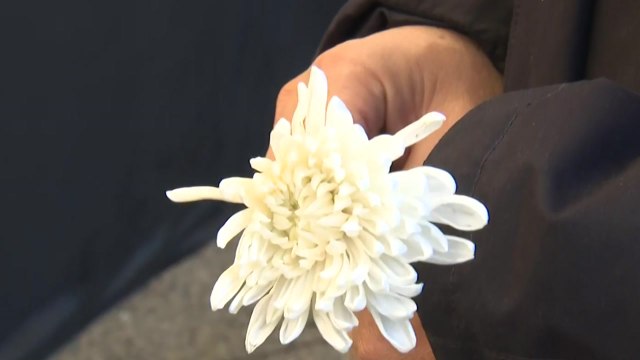 대통령실, 이태원 참사 49재에 진실 규명이 희생자 위한 길 / YTN