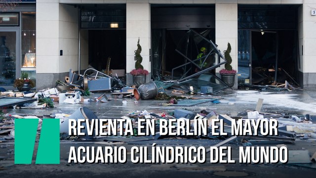 Revienta en Berlín el mayor acuario cilíndrico del mundo vertiendo 1.500 peces tropicales