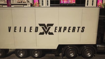 Veiled Experts