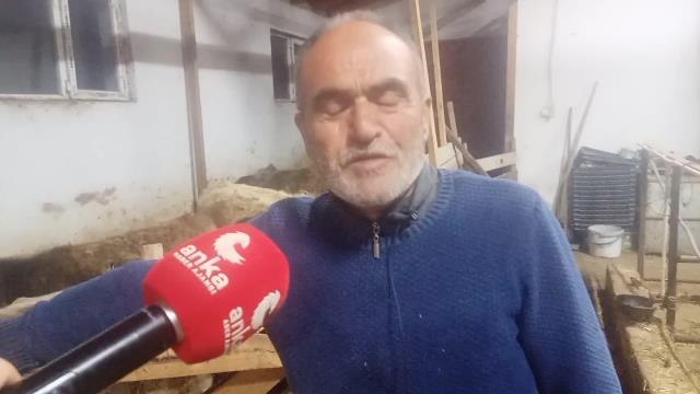 Artvinli Besici: Çoban Hayal Oldu, Bir Çobanın Gideri Bize 10 Bin Lira. Çoban Sıkıntısından Otumuzu Biçemiyoruz