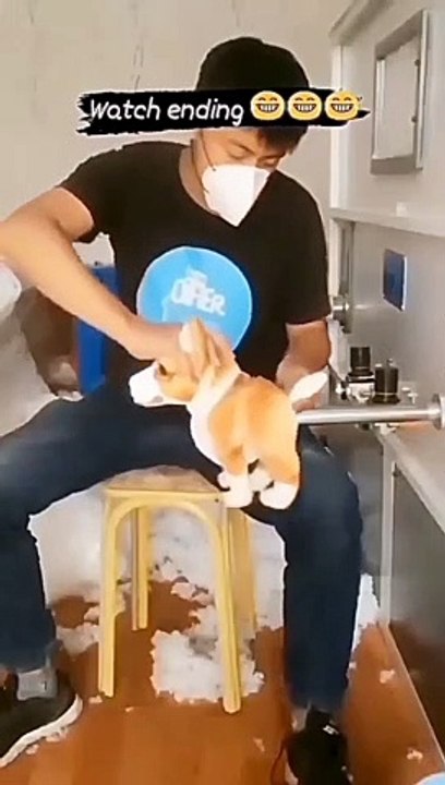Funny video