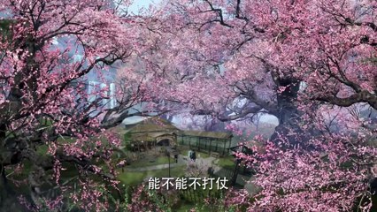 ធ្នូទេពទេវតាចម្បាំង ភាគ41