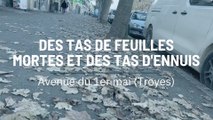 Des tas de feuilles mortes et des tas d'ennuis