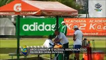 Jogadores do Palmeiras em dúvida sobre futuro no clube