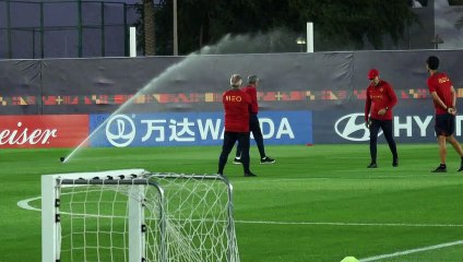 فرناندو سانتوش يغادر منصبه كمدرب للمنتخب البرتغالي