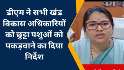 बस्ती: छुट्टा पशुओं से किसान त्रस्त, जिम्मेदार बेपरवाह