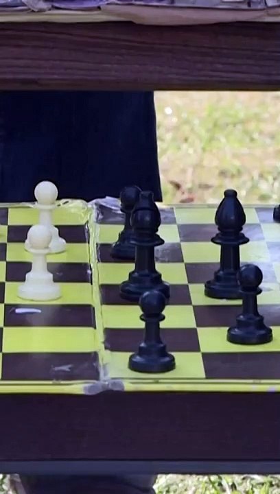 CAM - Quels sont les jeux de société les plus anciens au monde ?