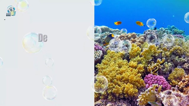 20000 Leguas de Viaje Submarino