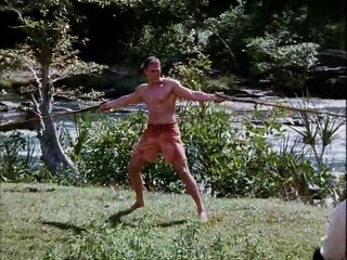 Bloodsport 3 Espíritu Guerrero 1996 Español Latino - Deporte Sangriento 3