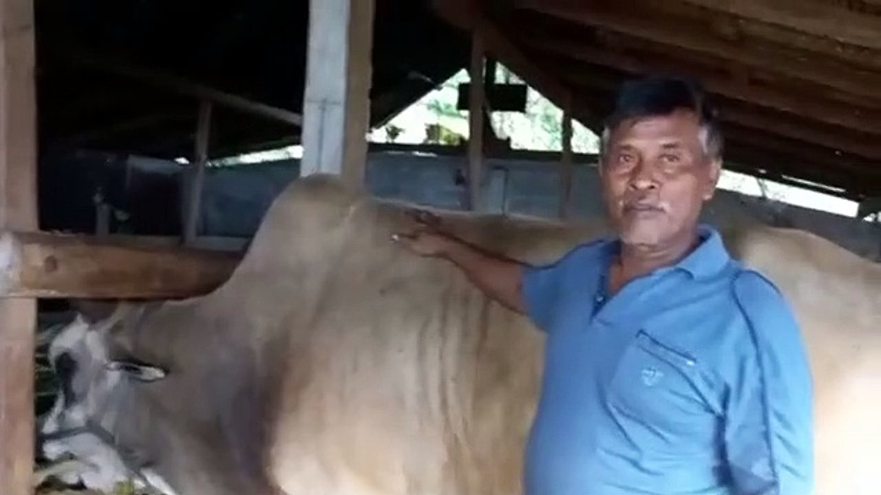 Ketawa (44)