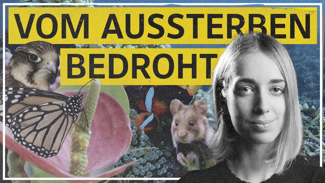 Warum wir ohne Artenvielfalt kaum überleben können