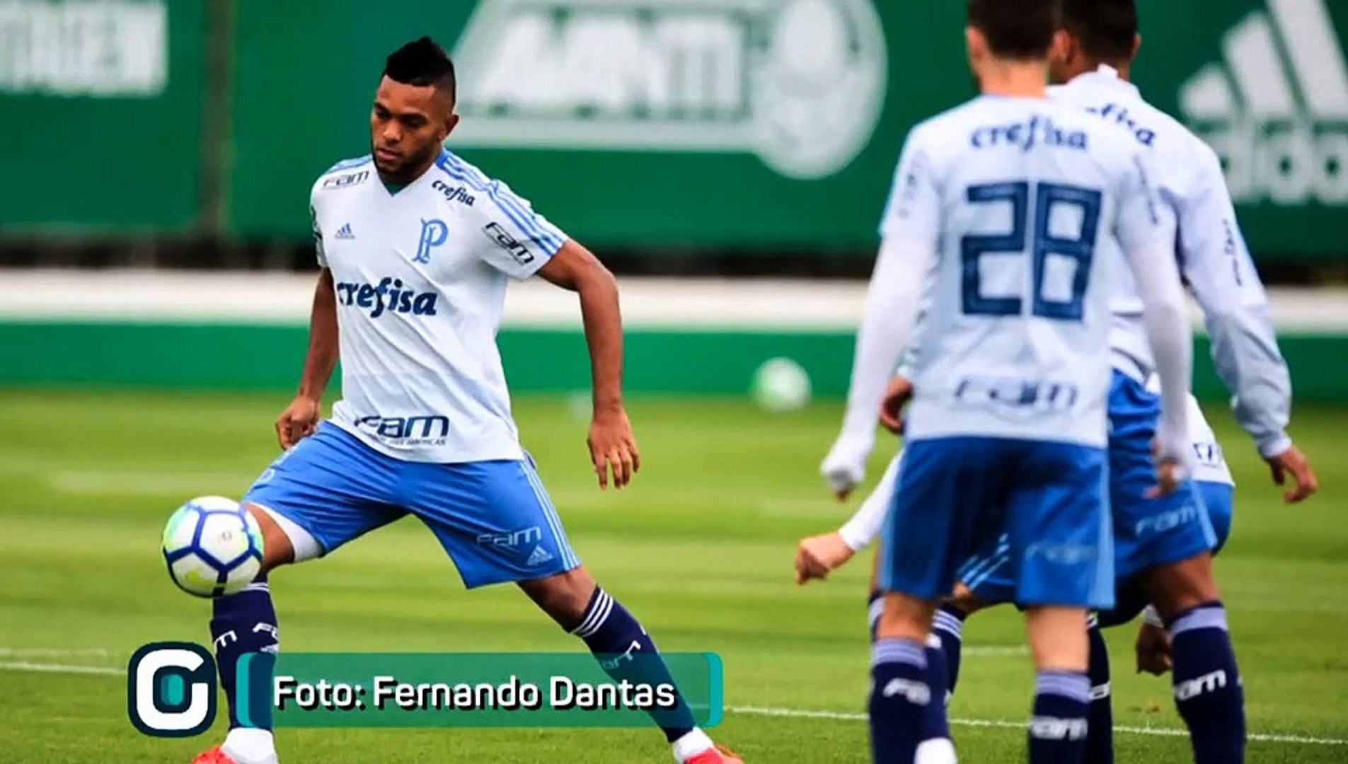 Palmeiras busca vitória diante do Bahia para avançar na Copa do Brasil