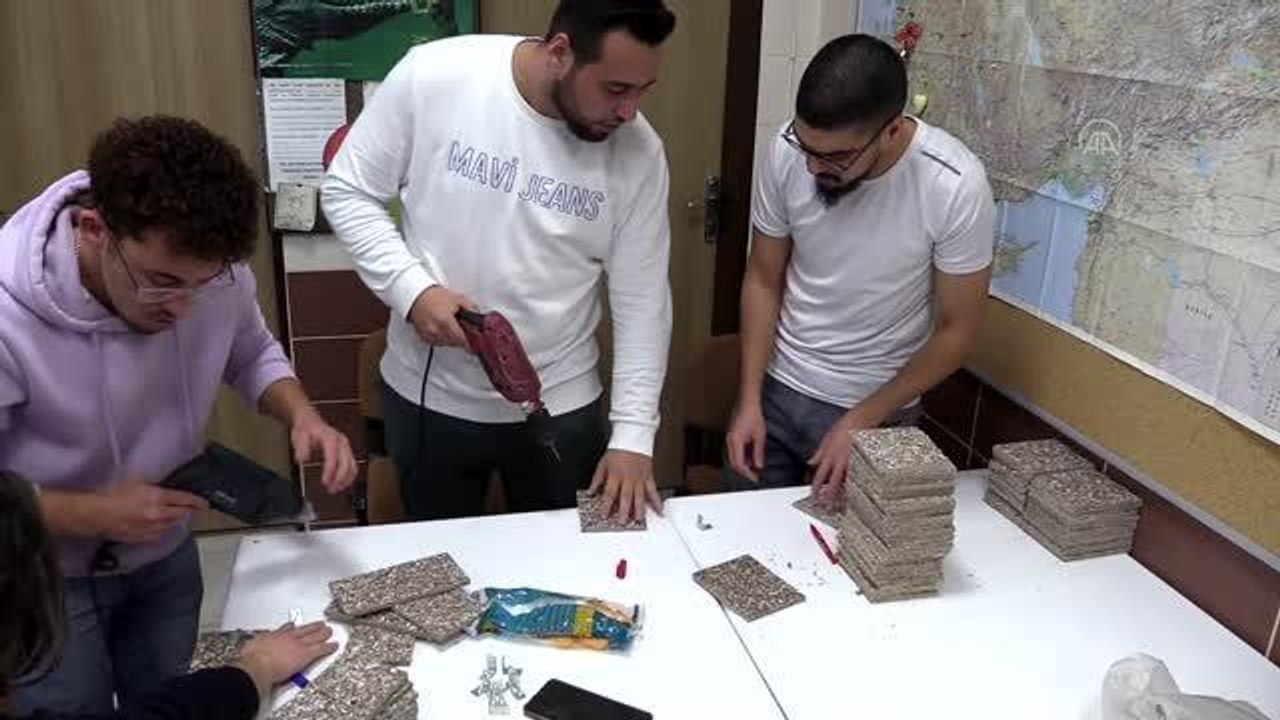 AFYONKARAHİSAR - Üniversite öğrencileri hazırladıkları kuş yemliklerini kampüs içindeki ağaçlara astı