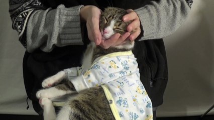 You're Choking Me, Mom